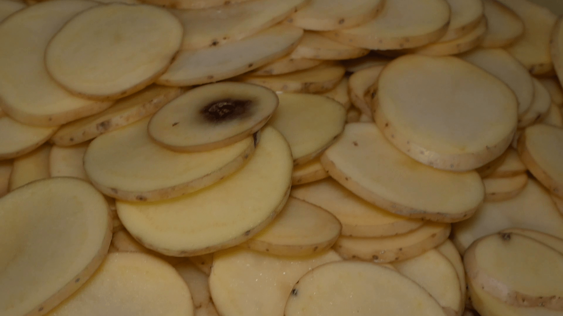 Analyse des échantillons