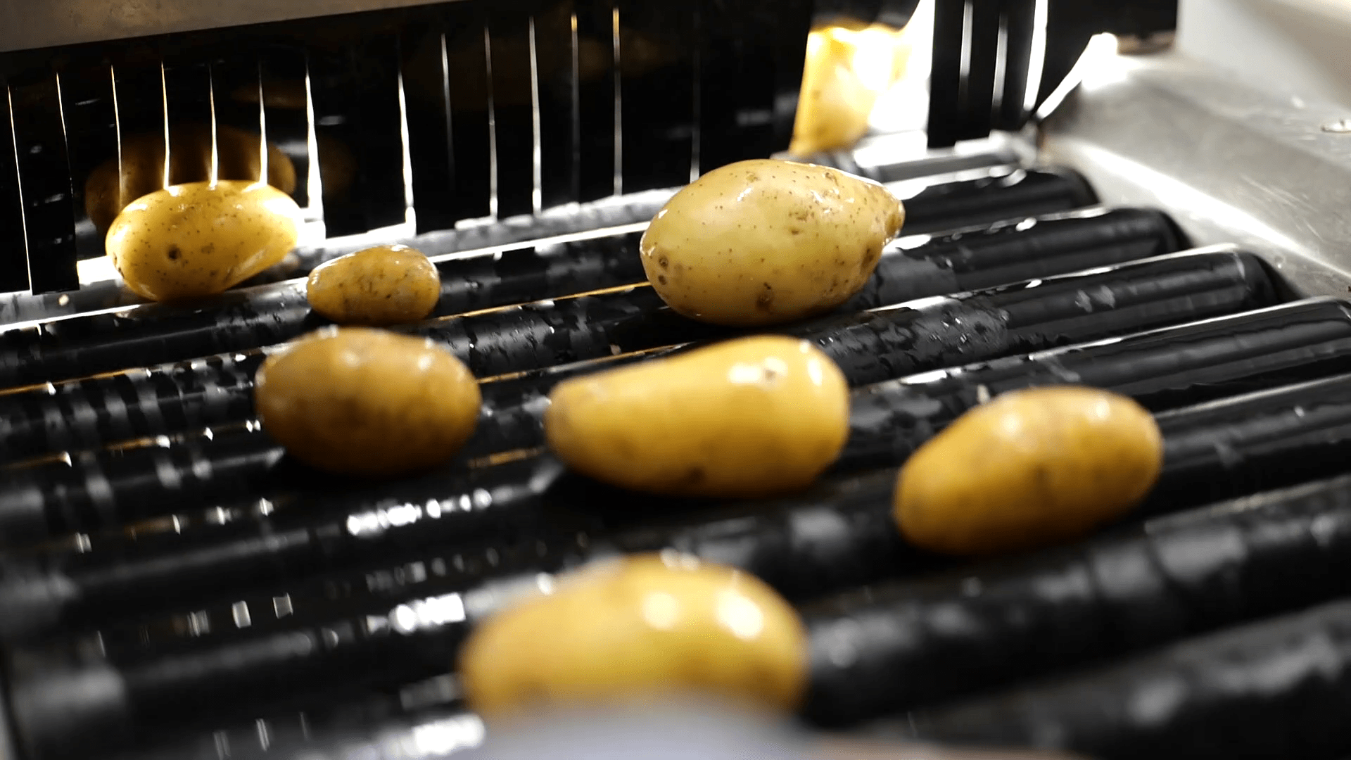 Analyse des échantillons